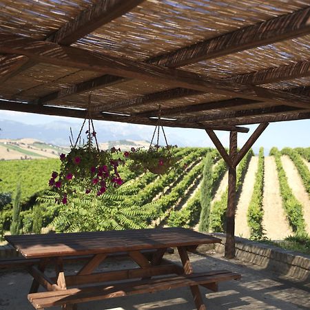 Contado San Lorenzo B&B And Wine Castilenti Kültér fotó