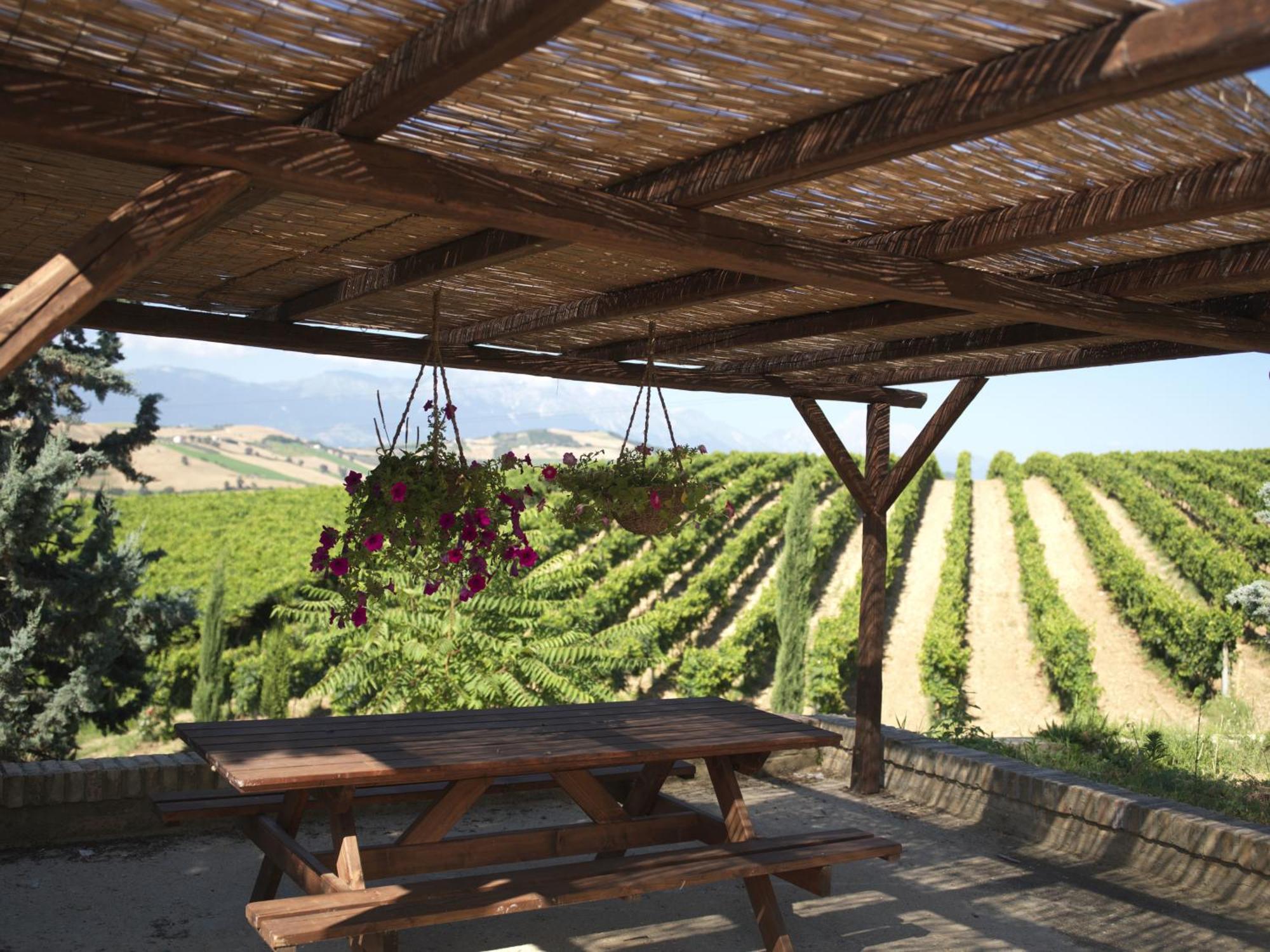 Contado San Lorenzo B&B And Wine Castilenti Kültér fotó
