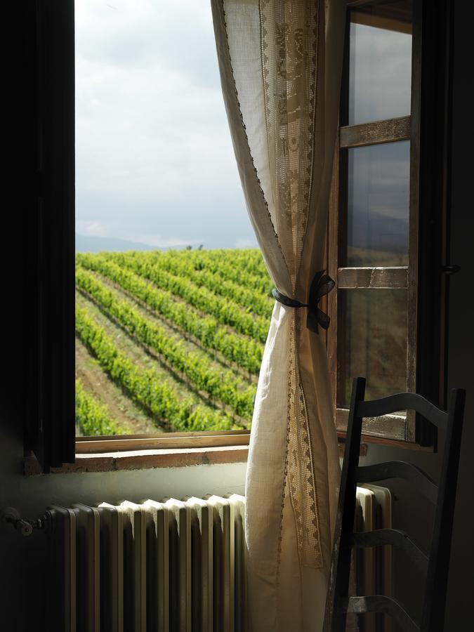 Contado San Lorenzo B&B And Wine Castilenti Kültér fotó